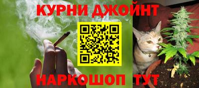 крисы Бузулук